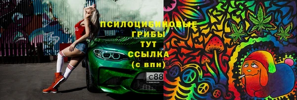 стафф Няндома